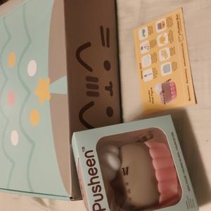Pusheen box winter 2019 plus extras!